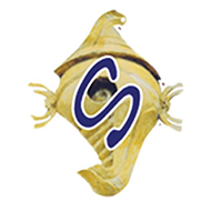 Sangeetha Enterprises and Furniture